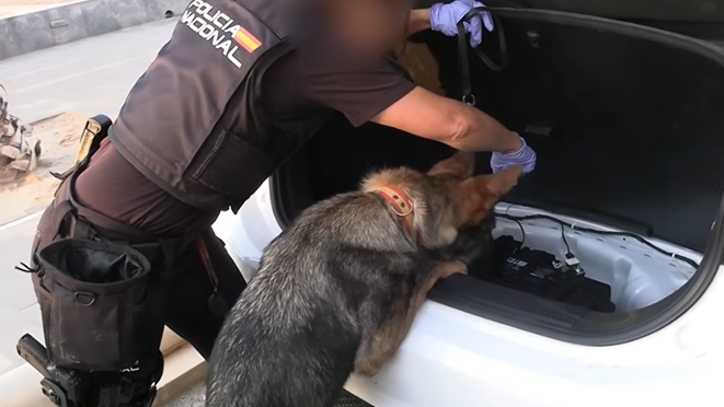 Spanish Police Crack Down on 78‑Person Smuggling Network
