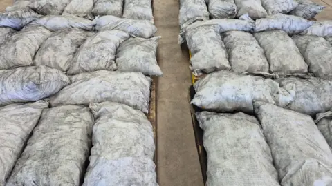 Actress Arrested Over 330kg of Meth Smuggling Plot