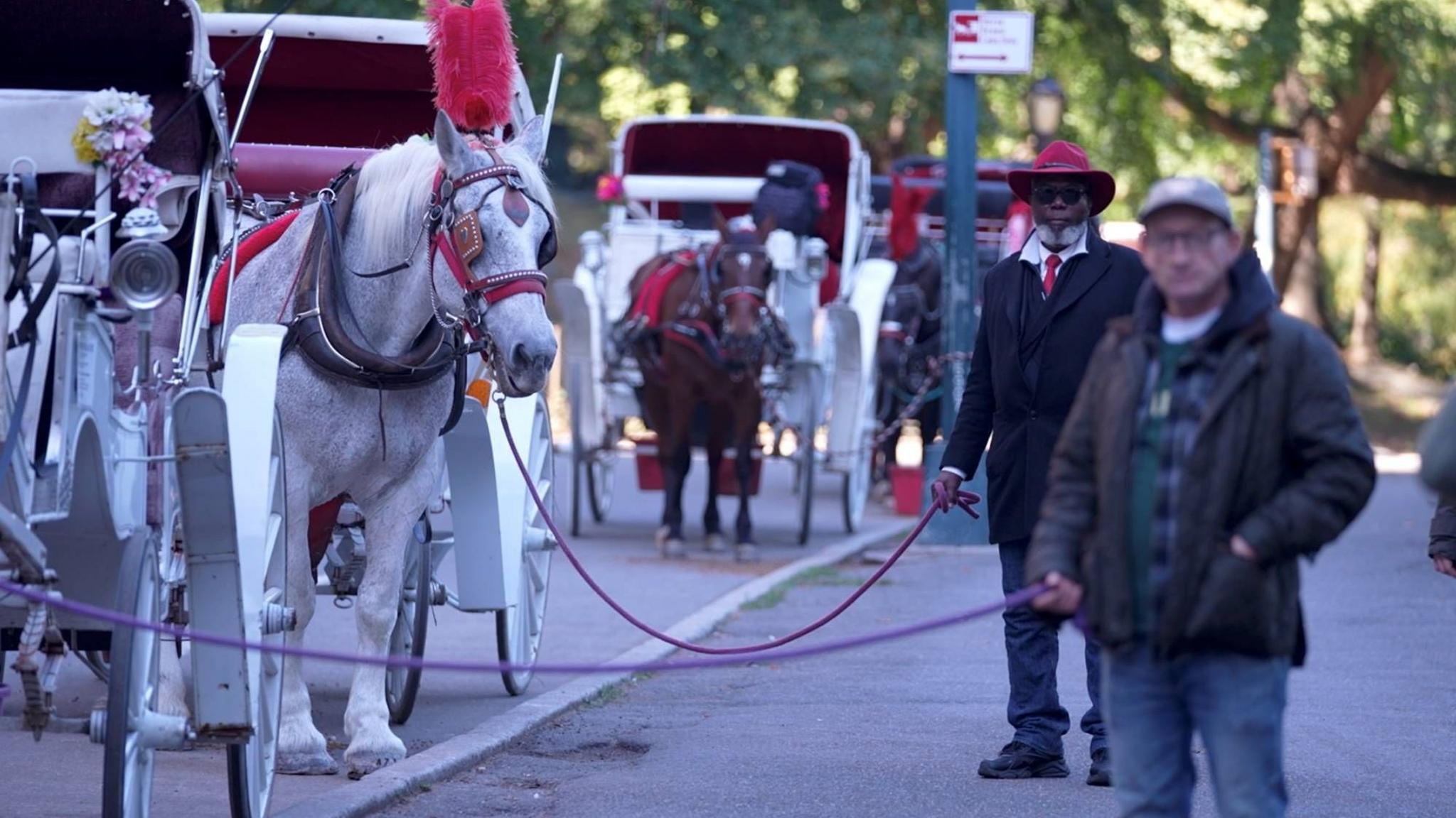 NYC’s Horse‑Carriage Showdown: Tourists Cheer, Workers Fear