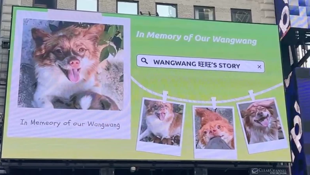 Dog’s Death Ignites Global Protest After China Censors Clash