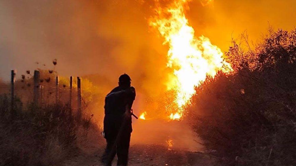 Algeria’s Blaze Countdown: President Pushes for Death Penalty