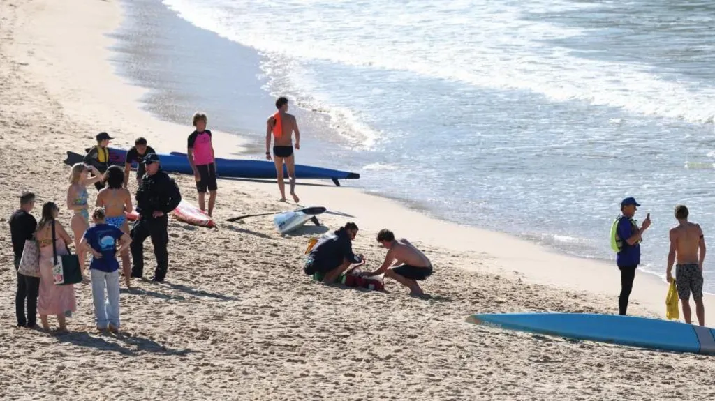 Sydney’s Coogee Beach Shark Attack Leaves Woman Seriously Injured