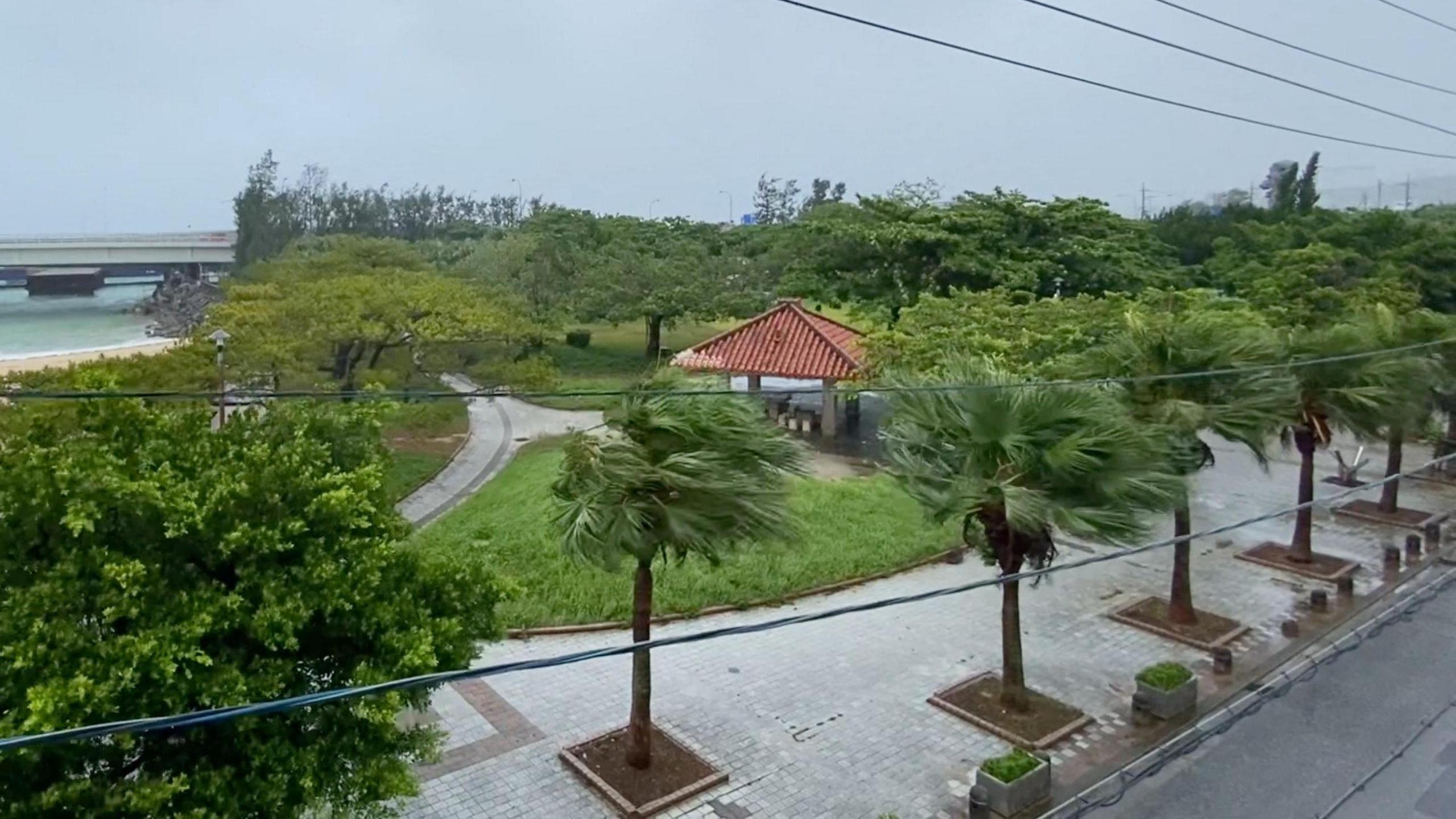 Typhoon Dolphin Power‑Cuts Okinawa, Heads for China—What Teens Should Know