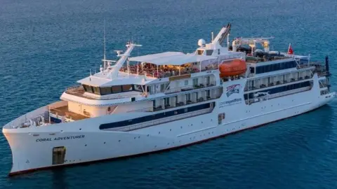 Cruise Ship Runs Aground After Tragic Incident Leaves Passenger Behind