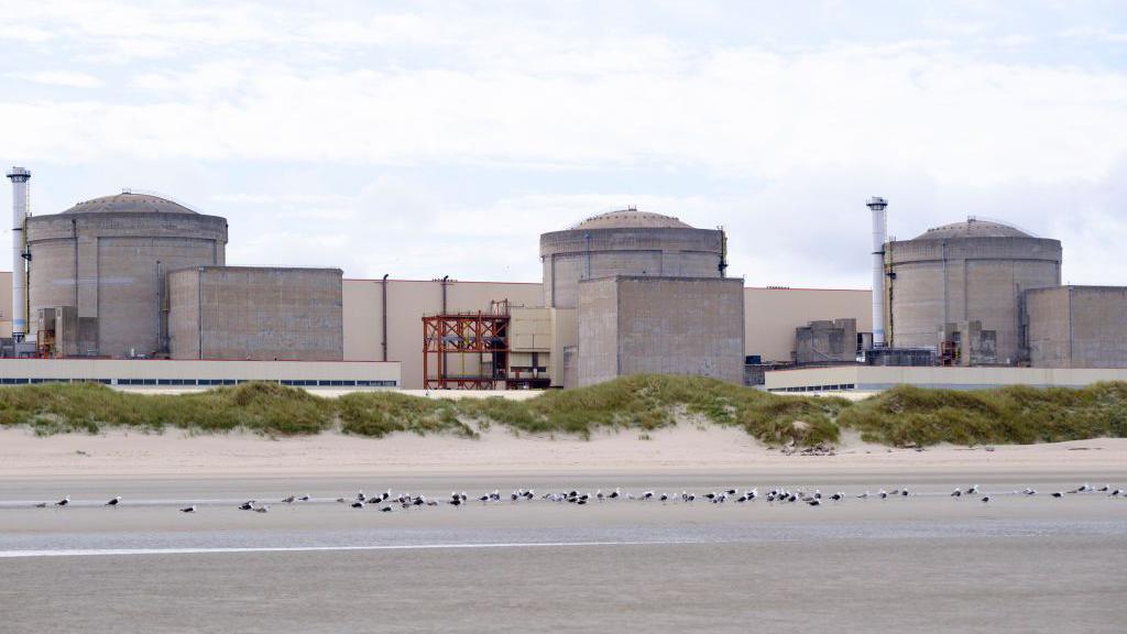 Jellyfish invasion forces French nuclear plant to go offline