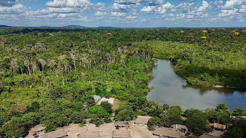 Brazil’s Amazon Fires Drop 80% in 2025 – A Climate Cue?