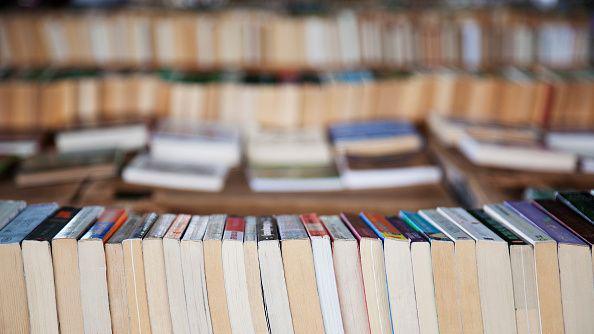 AI’s Book Feast: Secondhand Sales Feeding Chatbots