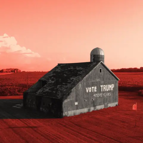 Farmers in the US Remain Loyal to Trump Despite Economic Struggles