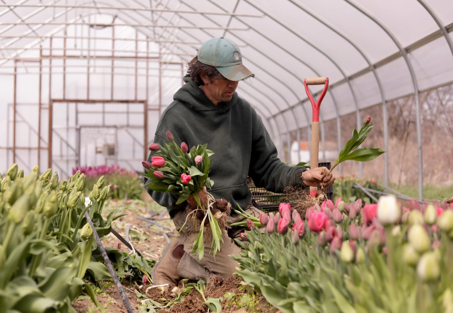 Weather Whiplash: Farmers Face Early Blooms and Frosty Nights