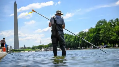 Trump Ready to Fix the Green-Water Reflecting Pool in DC