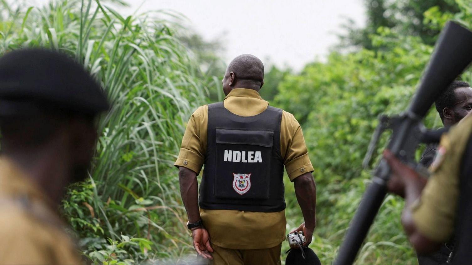 Mexico’s Meth Cartels Go Global: Nigeria’s Secret Labs