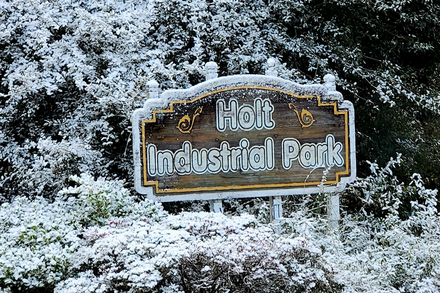 Florida Sees Snow Again - A Rare Winter Wonderland