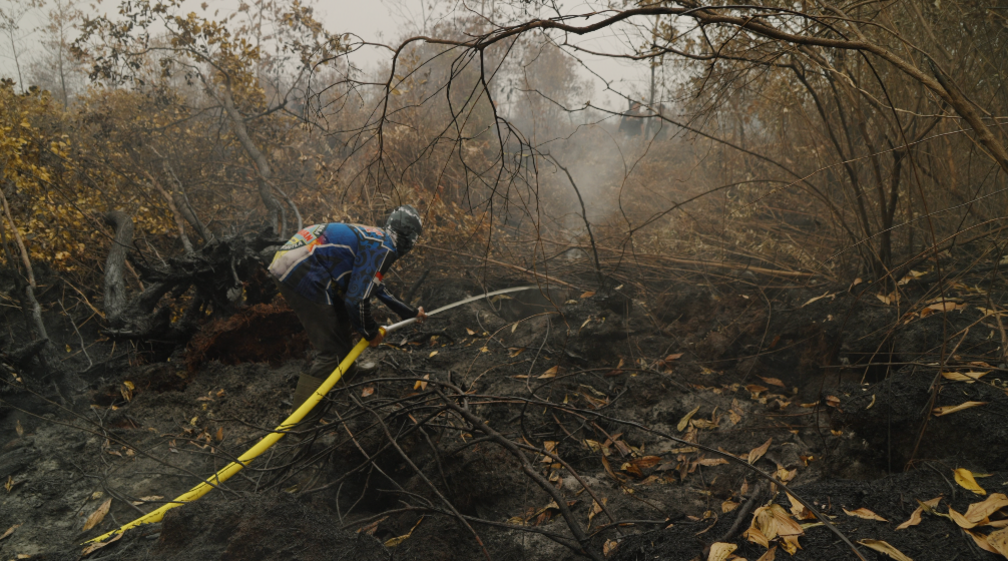 Borneo Is Burning: Living Behind Asia’s Toxic Haze