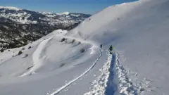 Tragic Avalanche Claims Four Lives in Greece’s Vardousia Mountains