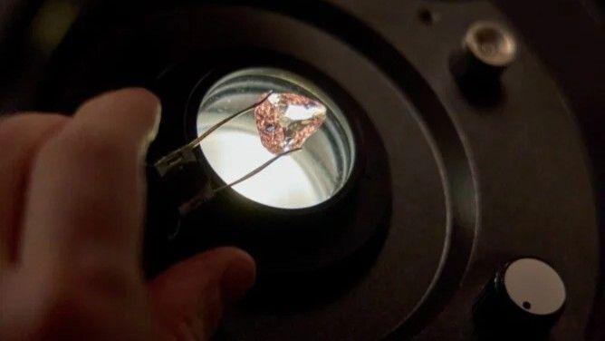 Grand Condé on a microscope