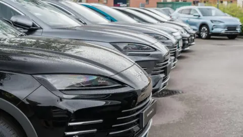 BYD Surpasses Tesla in Global EV Sales