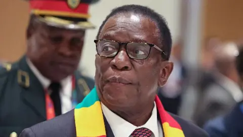 Zimbabwe's Future in Turmoil: Presidential Elections on the Chopping Block