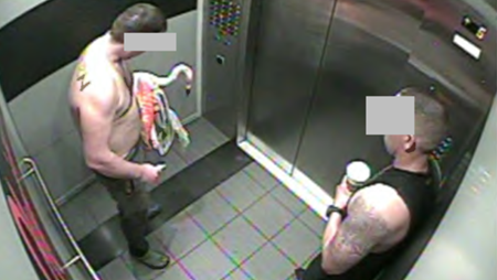 Canadian tourist guilty for flamingo theft