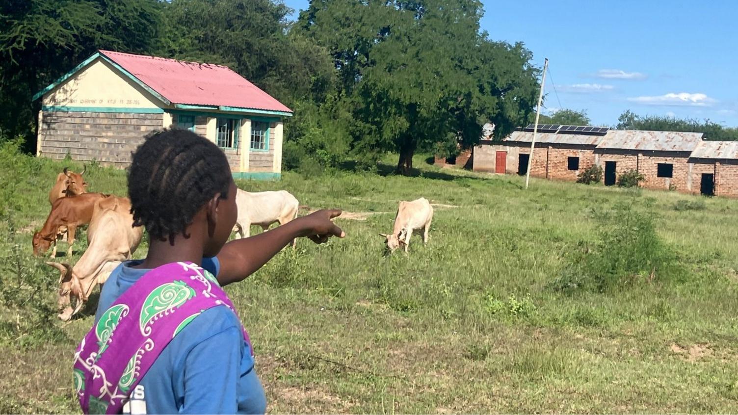 More Cows than Pupils? Why Rural Kenyan Schools Are Closing