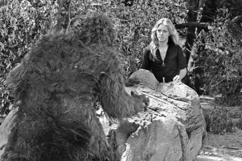 The Secret Lives of Bigfoot Hunters: Insights from 160 Interviews