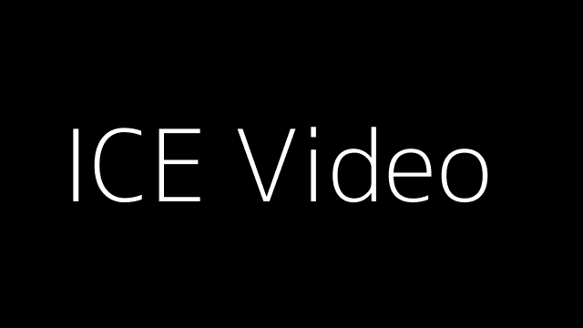 Video of ICE Agent Pointing Gun at Woman Go Viral in Falls Church