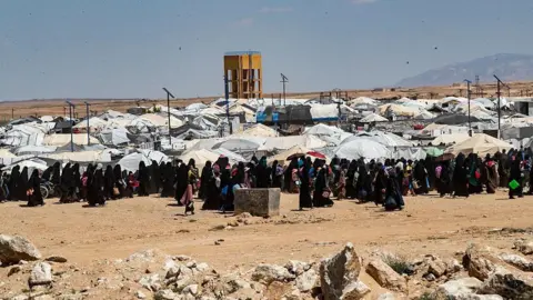 Ceasefire Declared in Syria as Kurdish Forces Withdraw from IS Family Camp