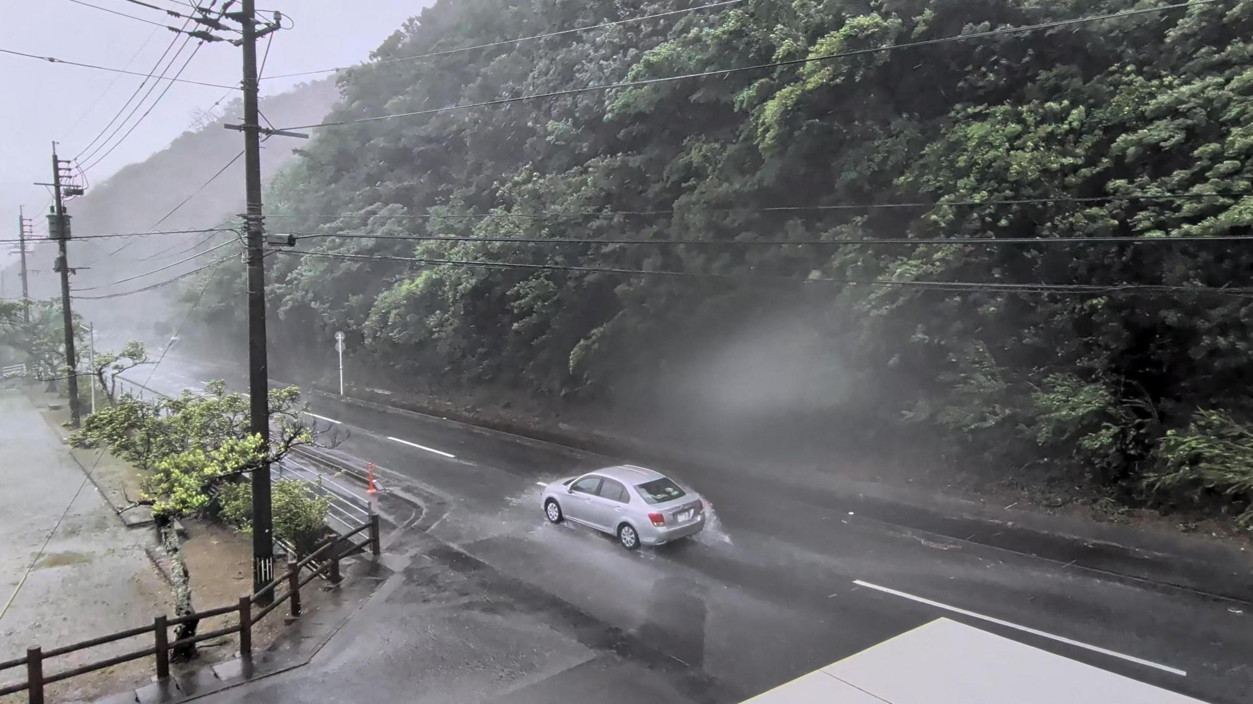 Typhoon Dolphin Hits Okinawa: Storm‑Speed Adventure for Young Explorers