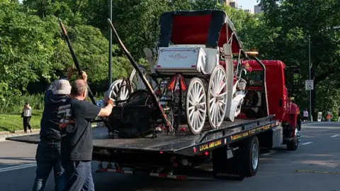 Teen dies after Central Park carriage crash