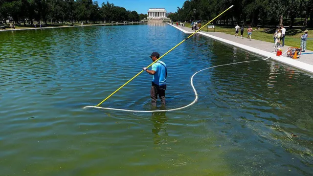 Olympic Champion Arrested Over Reflecting Pool ‘Vandalising’ – He Claims He Didn’t Touch Anything